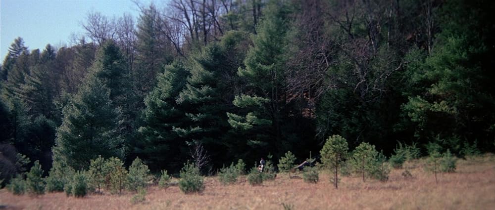 グリズリーの画像