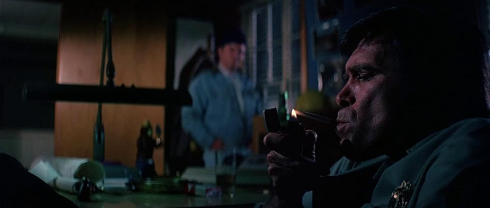 グリズリーの画像