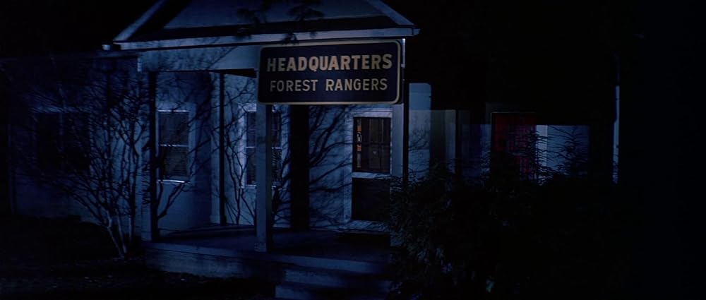 グリズリーの画像