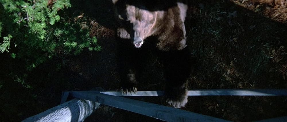 グリズリーの画像