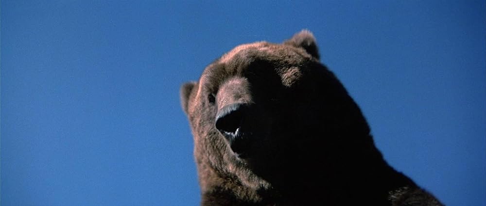 グリズリーの画像