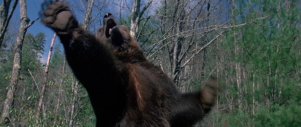 グリズリーの画像