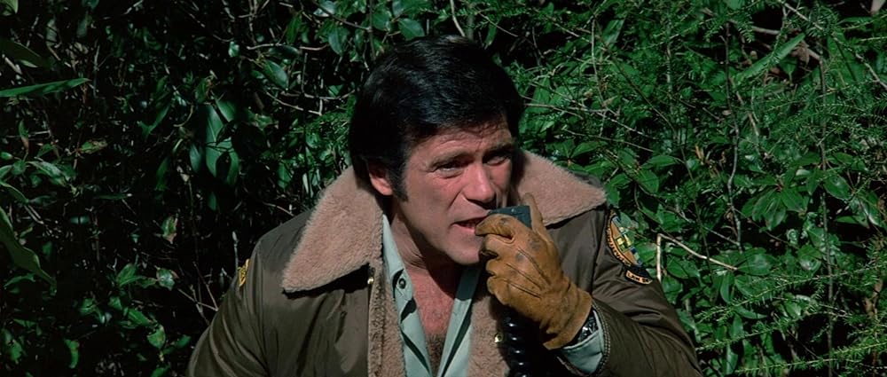 グリズリーの画像