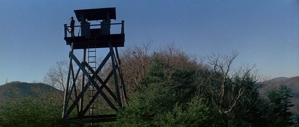 グリズリーの画像