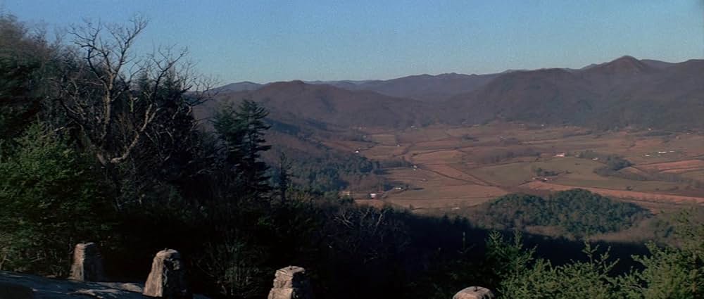 グリズリーの画像