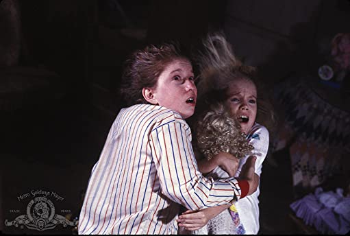 ポルターガイスト2の画像