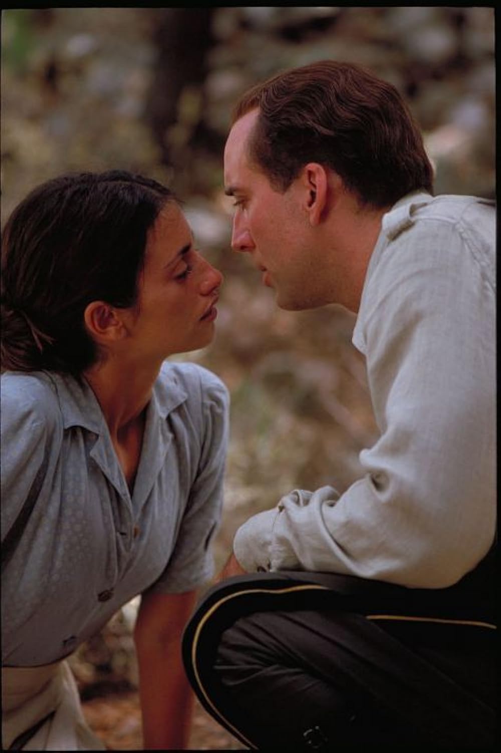 コレリ大尉のマンドリンの画像