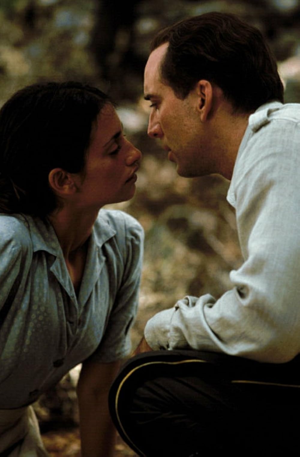 コレリ大尉のマンドリンの画像