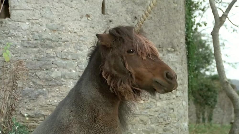 ブラック・ムーンの画像