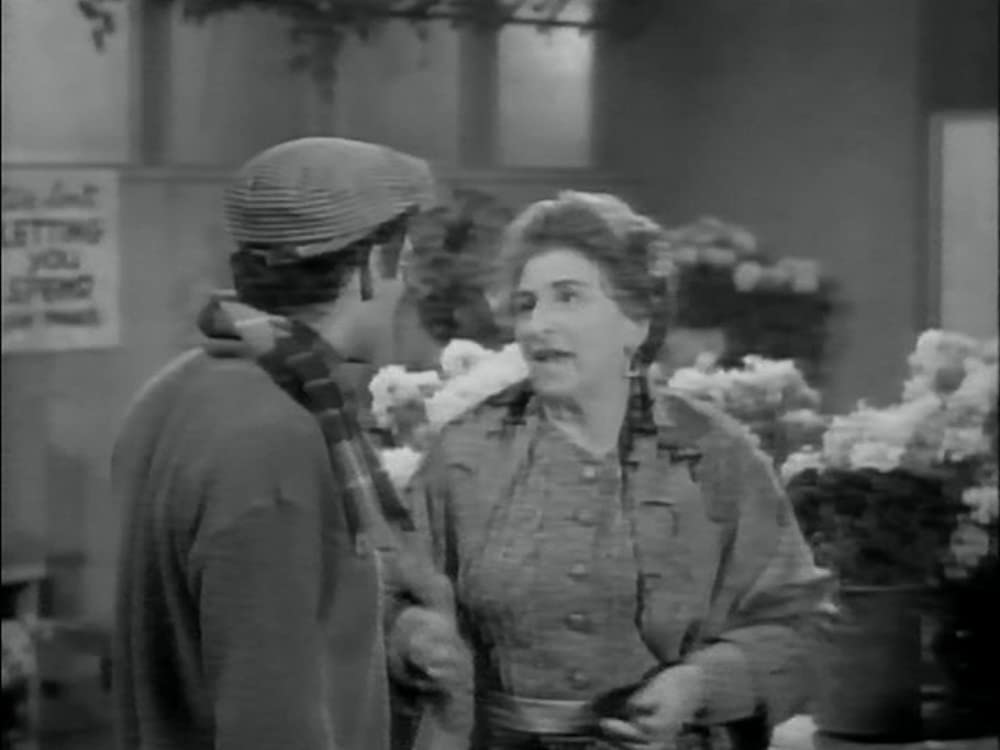 リトル・ショップ・オブ・ホラーズの画像