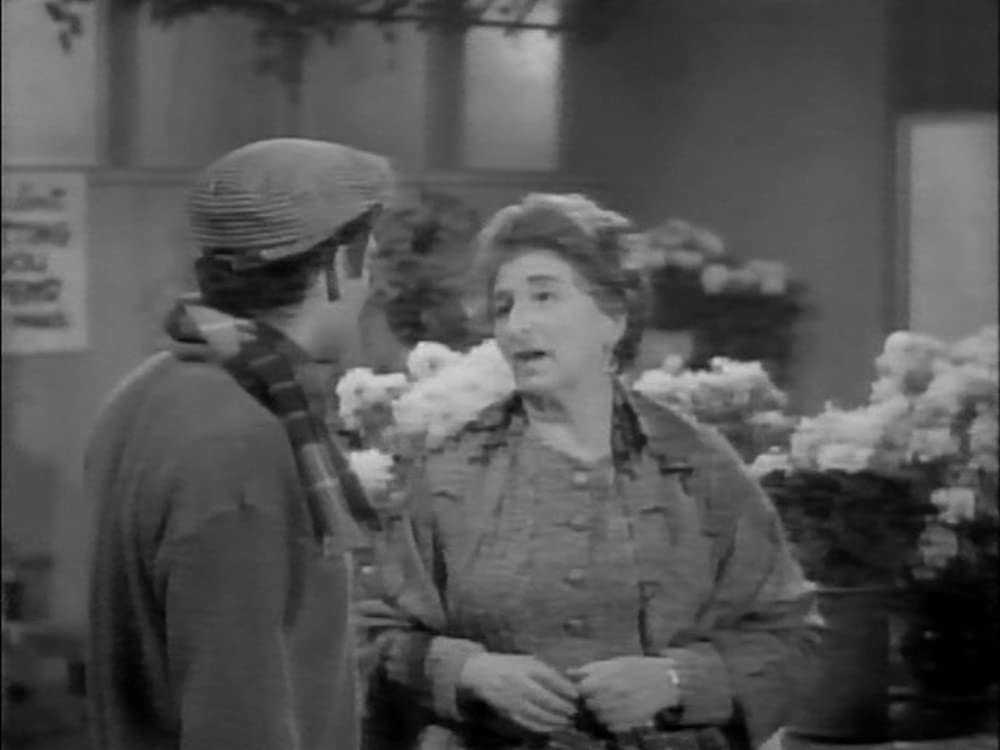 リトル・ショップ・オブ・ホラーズの画像