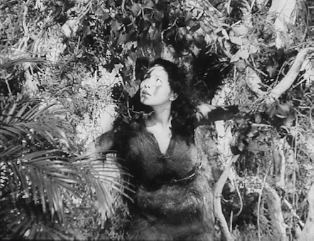 「アナタハン」Akemi Negishiの画像