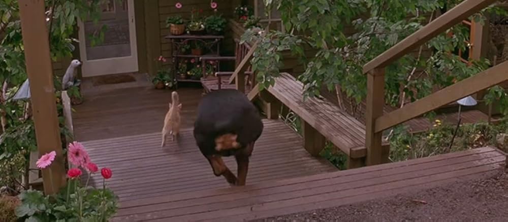 張り込みプラスの画像