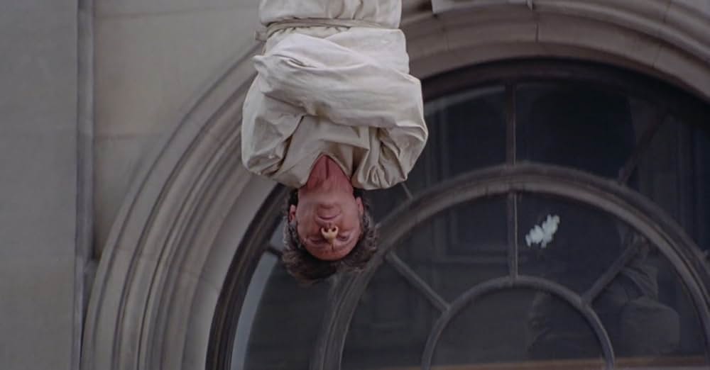 フェアリーテイルの画像