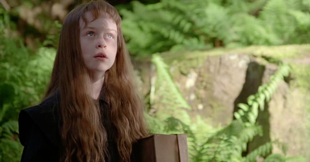 フェアリーテイルの画像