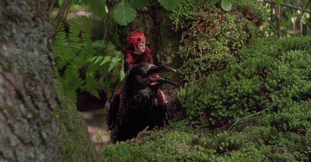 フェアリーテイルの画像