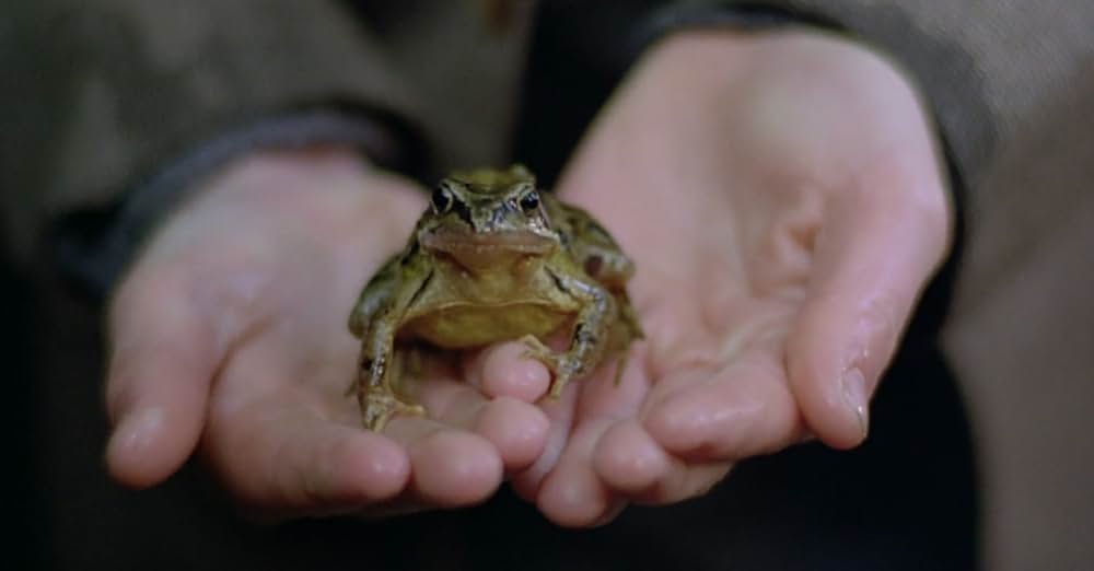 フェアリーテイルの画像