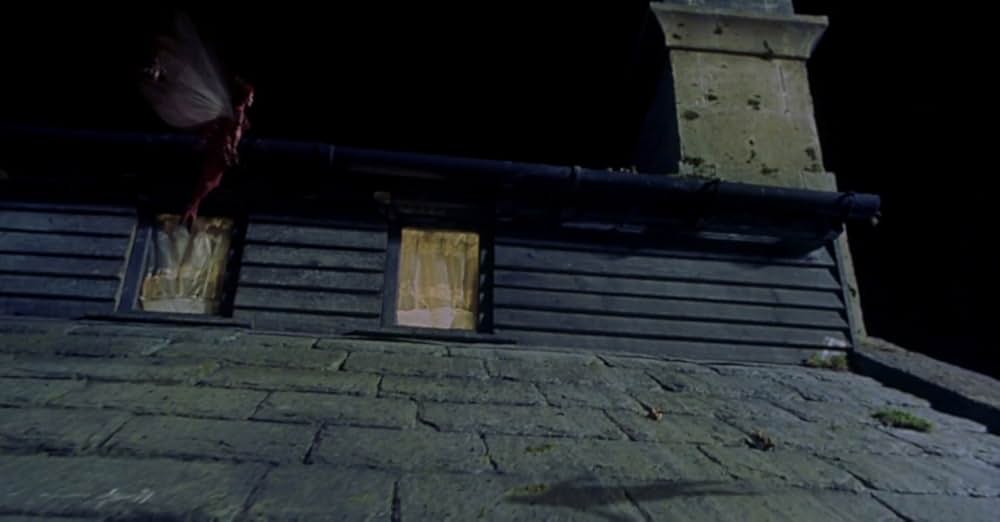 フェアリーテイルの画像