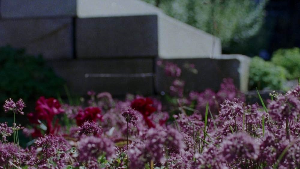 Riceboy Sleeps（原題）の画像