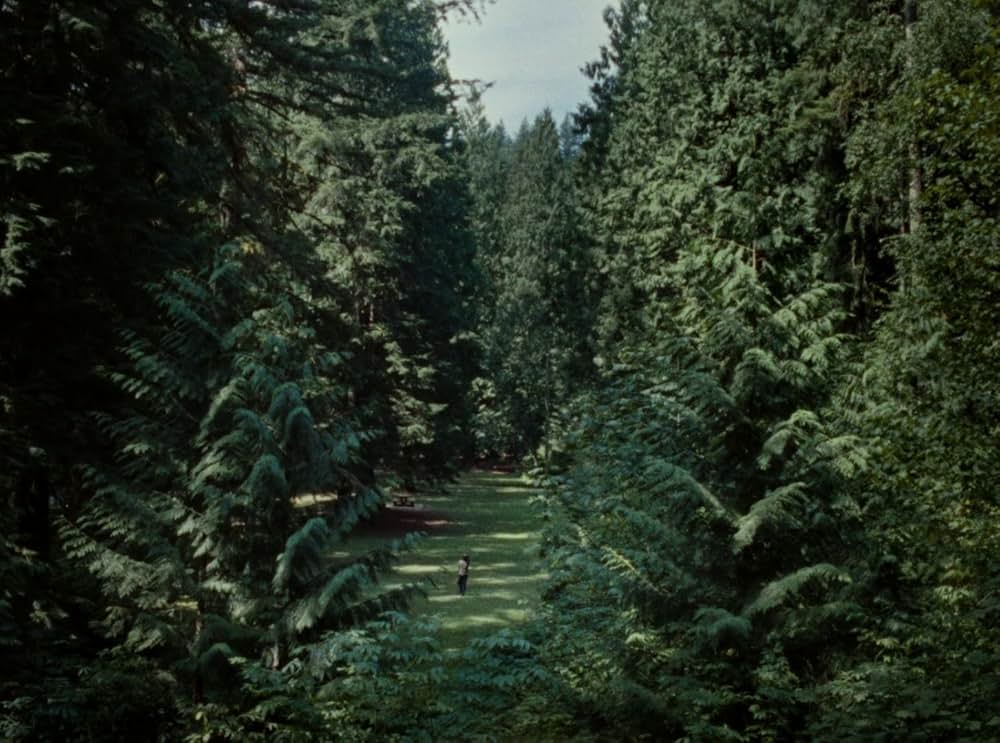 Riceboy Sleeps（原題）の画像