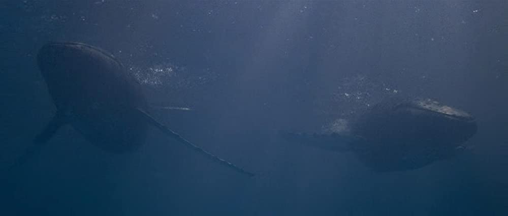 故郷(ふるさと)への長い道/スター・トレック4の画像