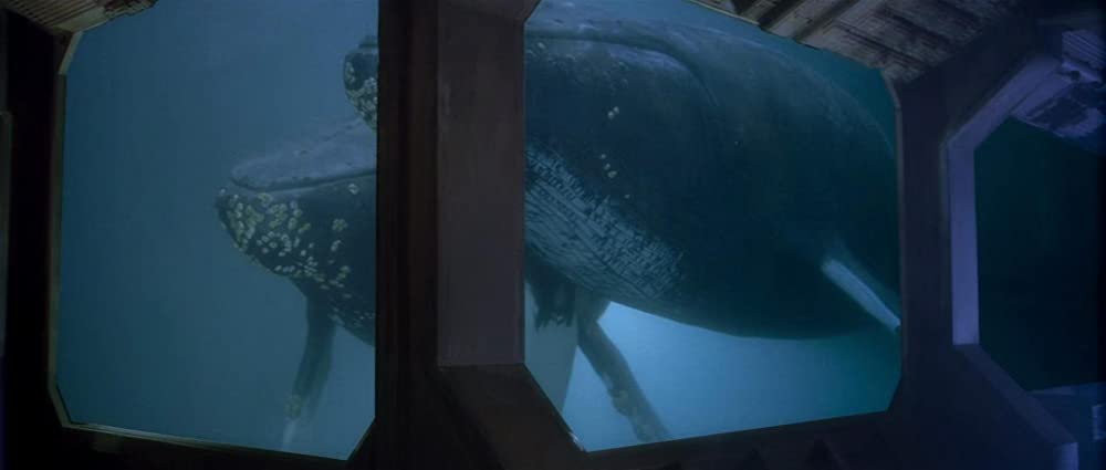 故郷(ふるさと)への長い道/スター・トレック4の画像