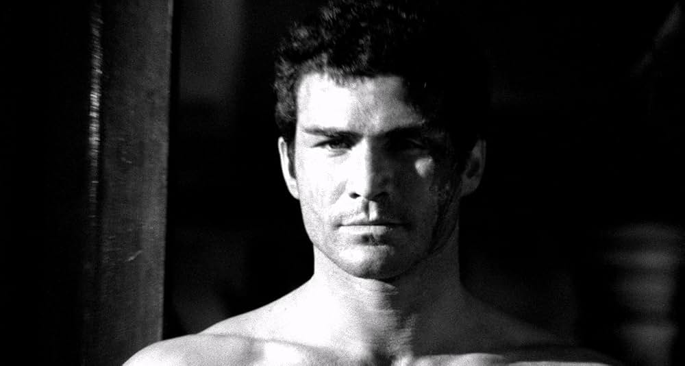 幽霊屋敷の蛇淫の画像