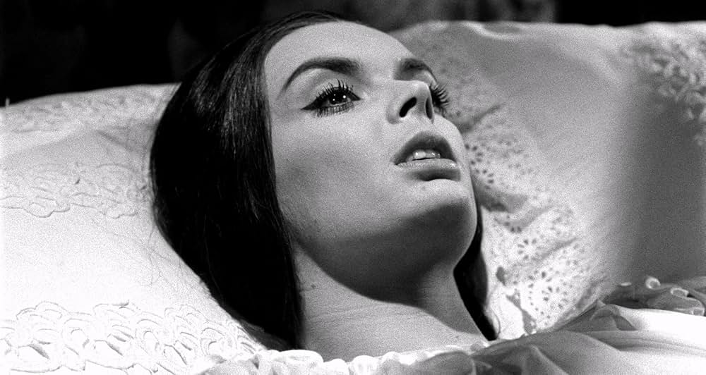 幽霊屋敷の蛇淫の画像