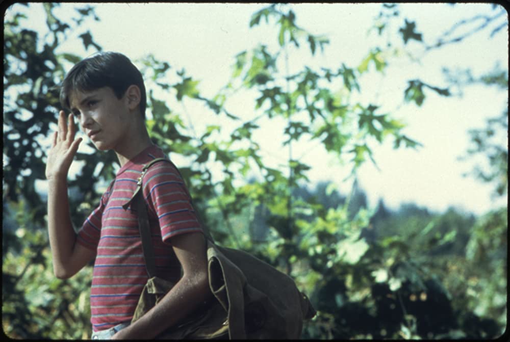 「スタンド・バイ・ミー」ウィル・ウィートンの画像