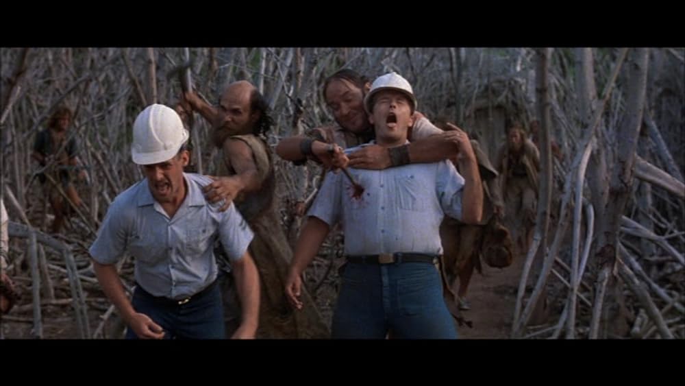 アイランドの画像