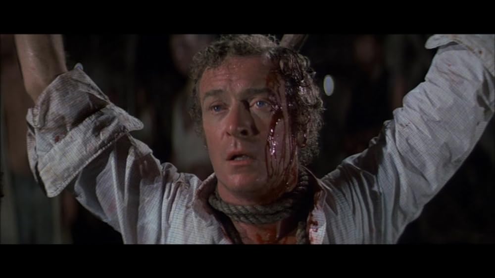 アイランドの画像