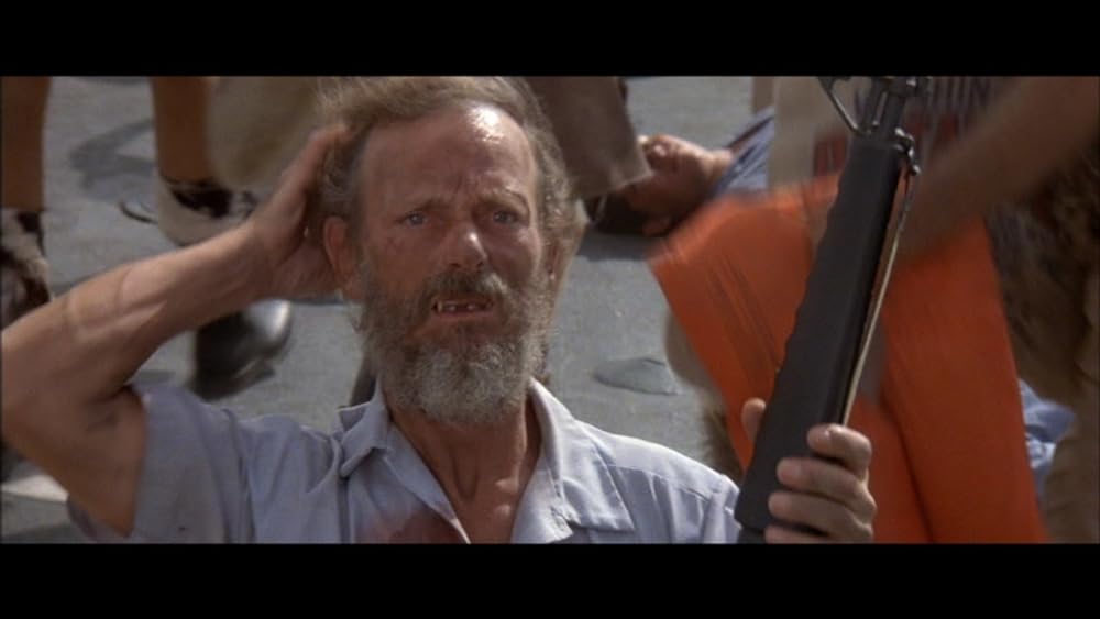 アイランドの画像