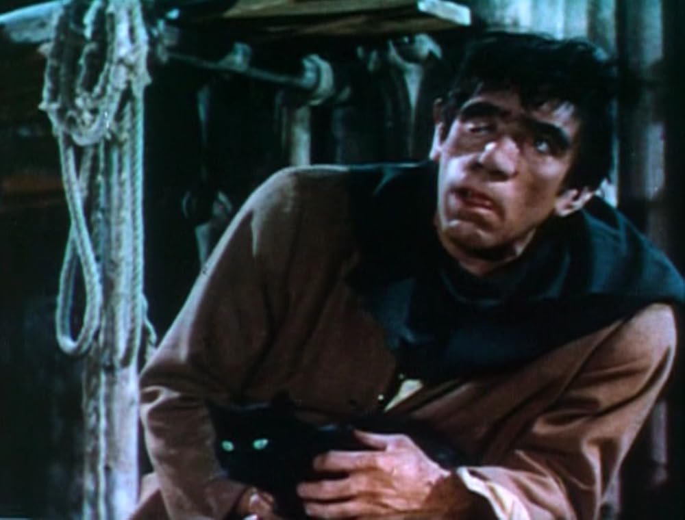 ノートルダムのせむし男／ノートルダム・ド・パリの画像