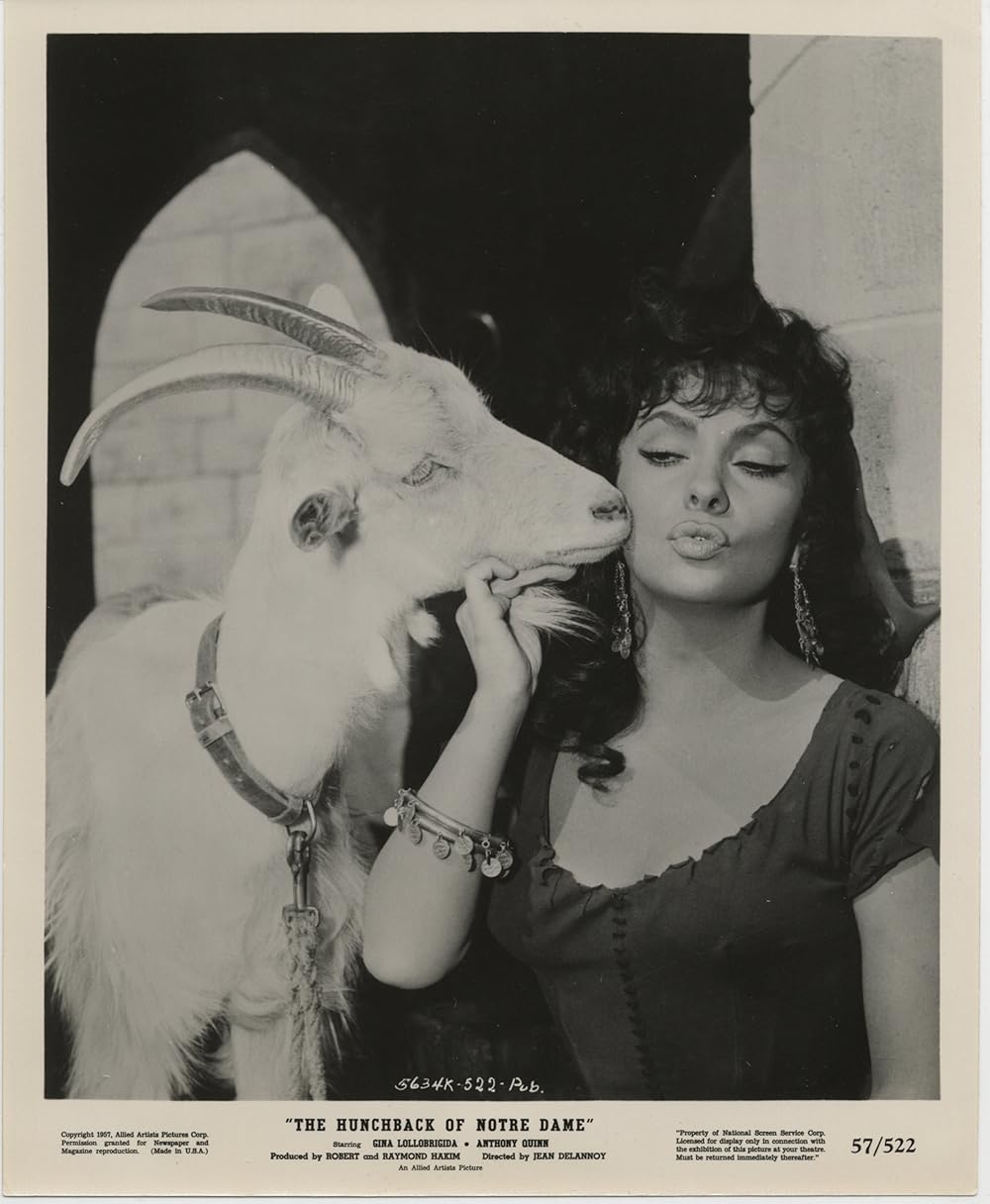 ノートルダムのせむし男／ノートルダム・ド・パリの画像