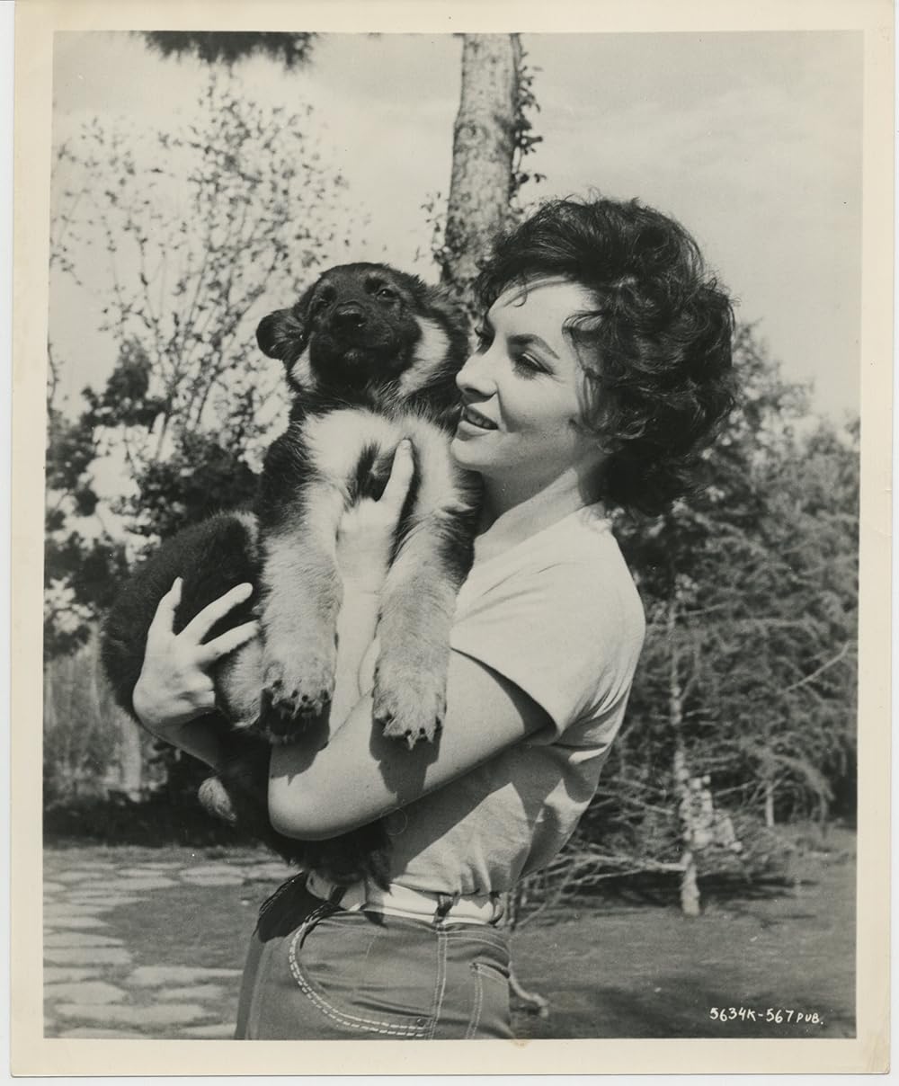 ノートルダムのせむし男／ノートルダム・ド・パリの画像