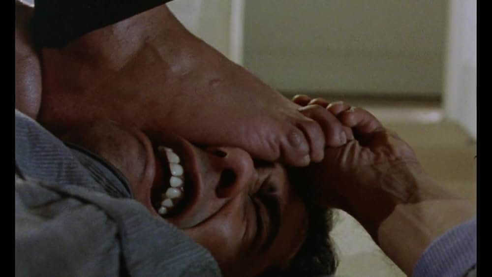 マイ・ビューティフル・ランドレットの画像