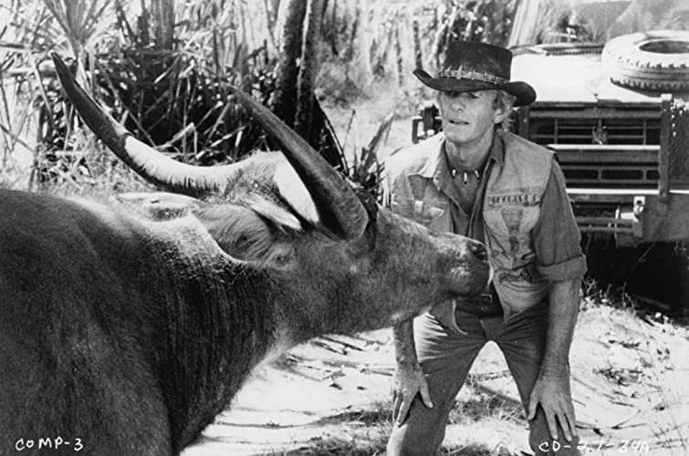 クロコダイル・ダンディーの画像