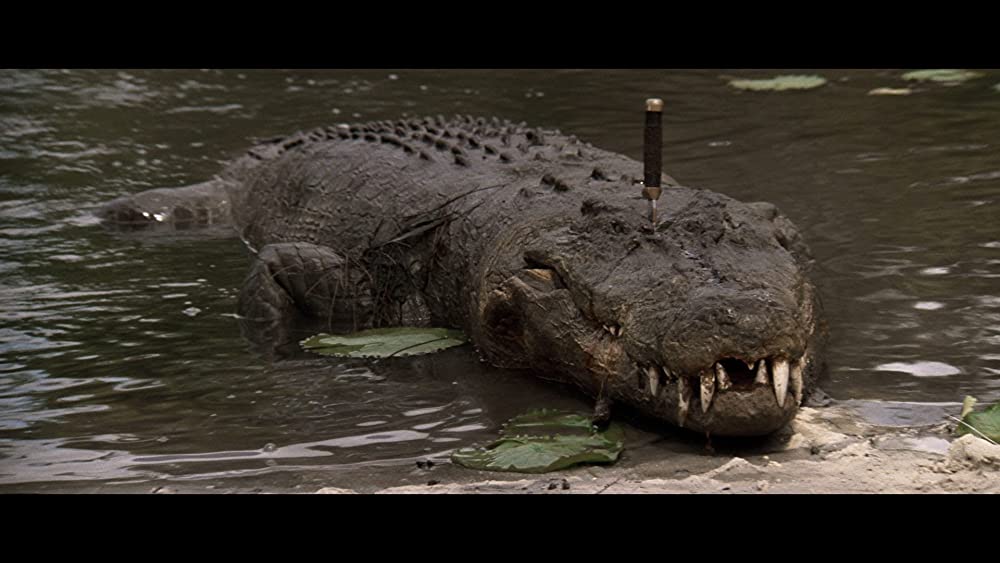 クロコダイル・ダンディーの画像