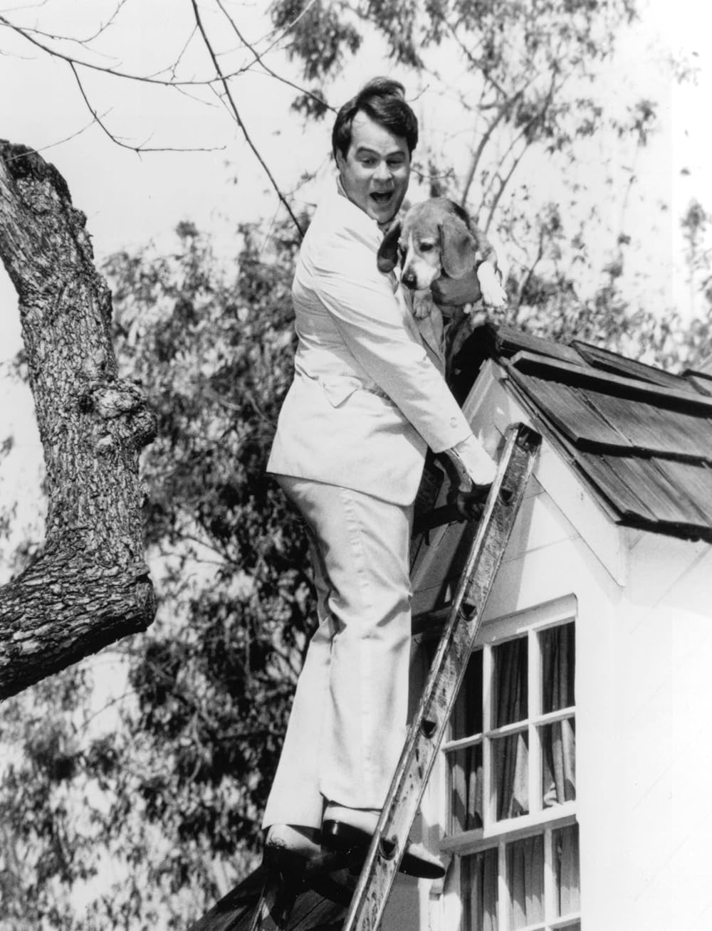 花嫁はエイリアンの画像