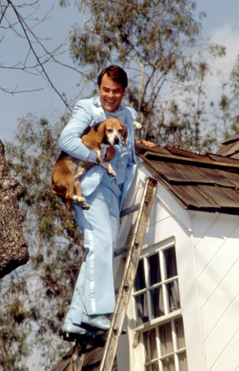 花嫁はエイリアンの画像