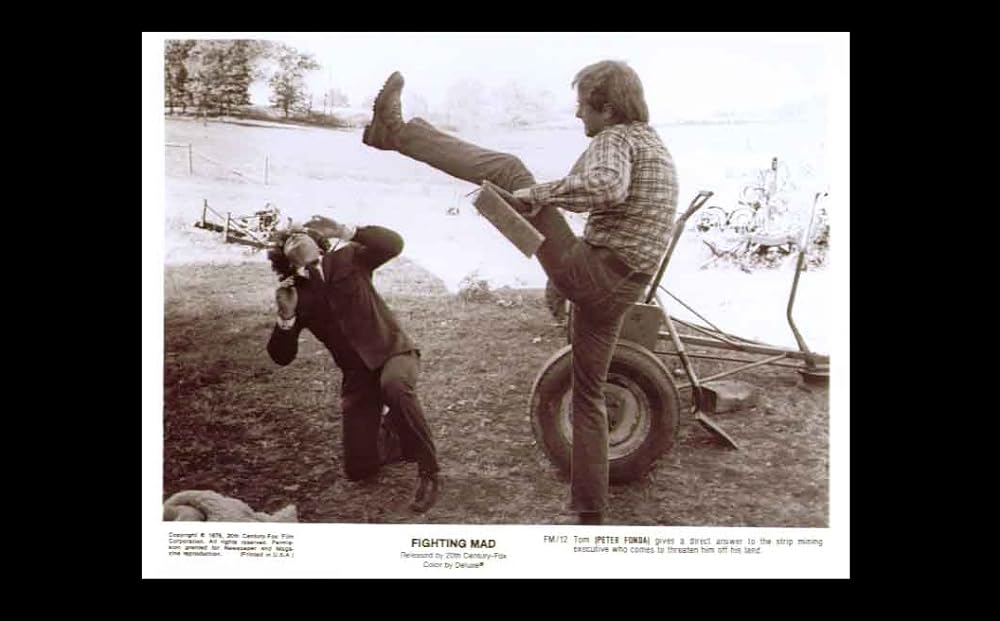 怒りの山河の画像