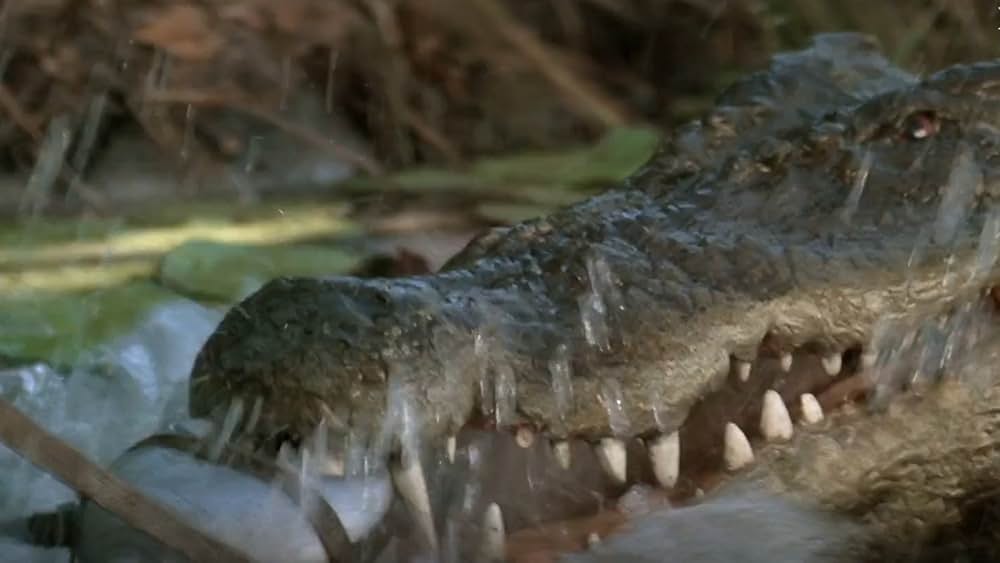 クロコダイル・ダンディーin L.A.の画像