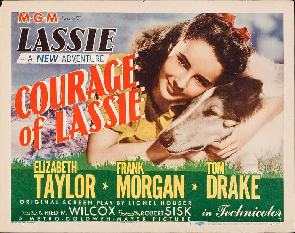 名犬ラッシー/ラッシーの勇気の画像