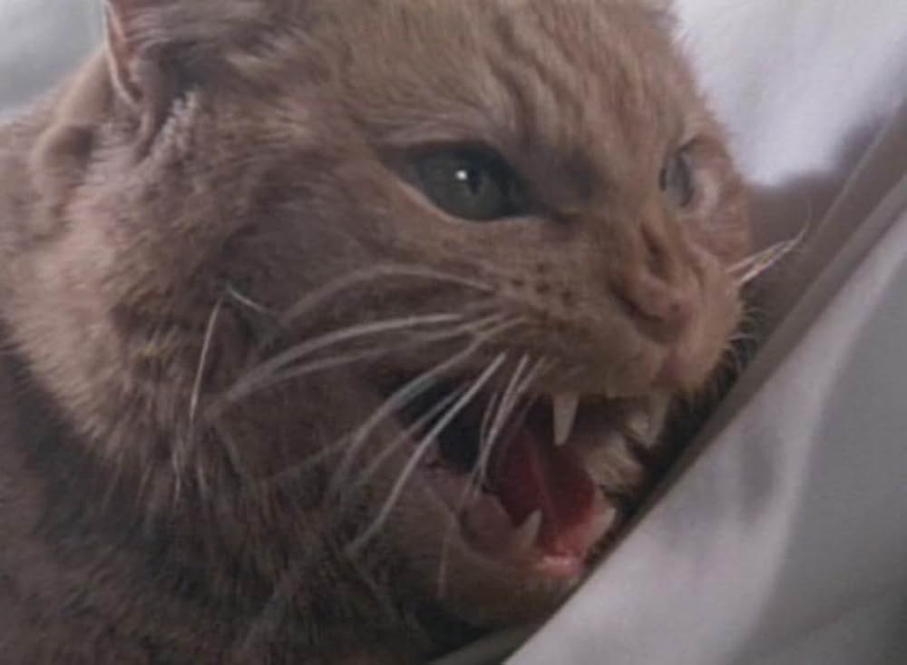 「エイリアン2」の画像