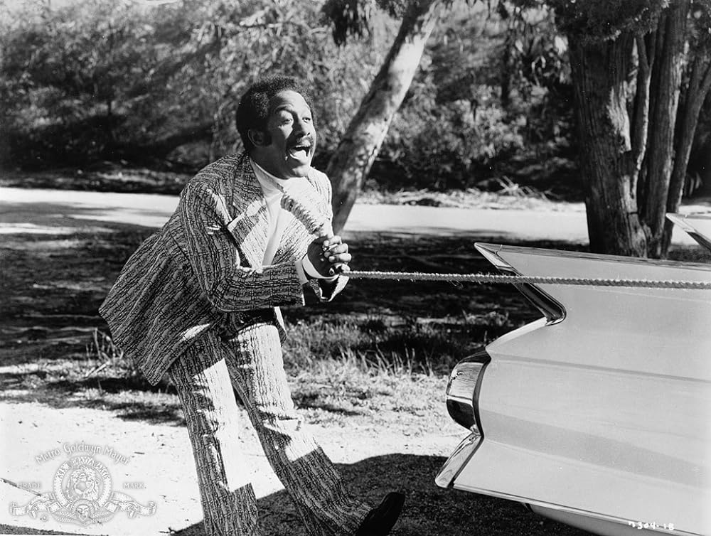 コフィーの画像