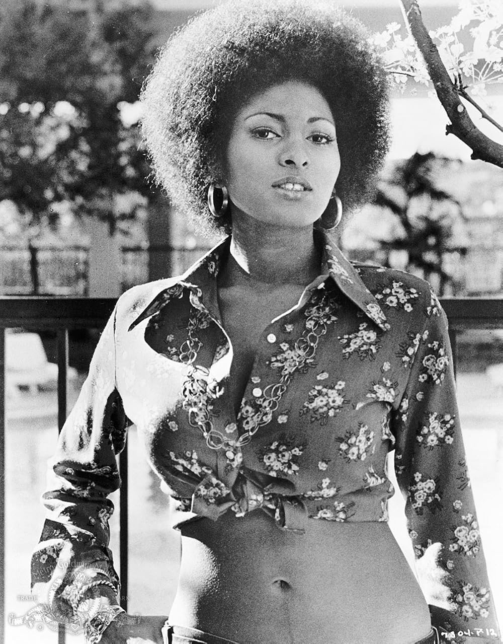 コフィーの画像