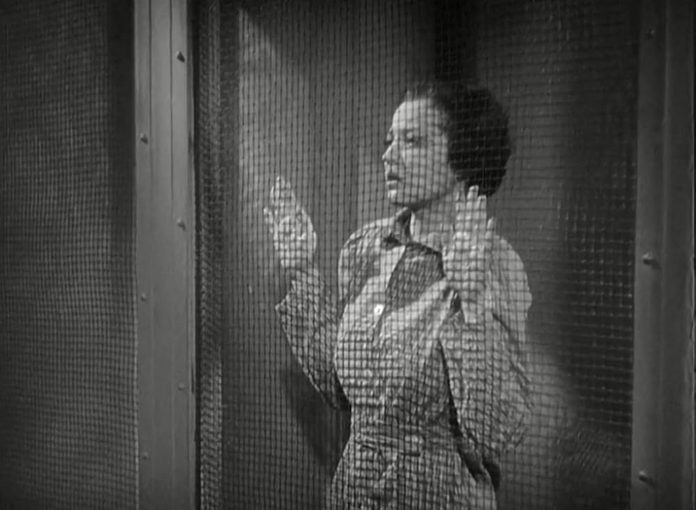 「市街」シルビア・シドニーの画像