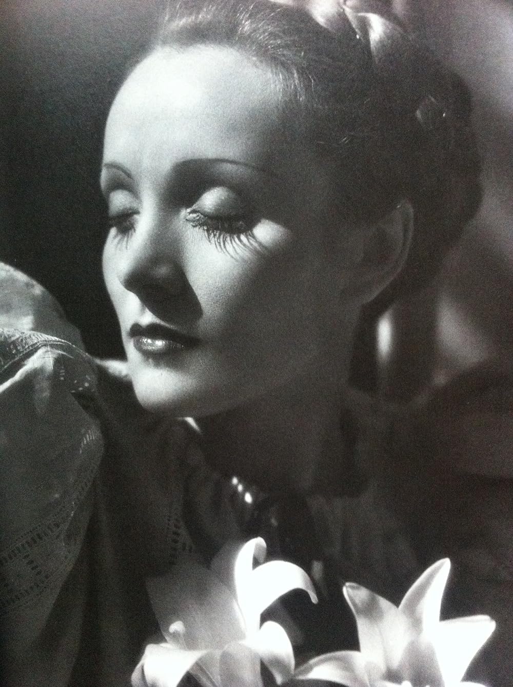 恋の凱歌の画像