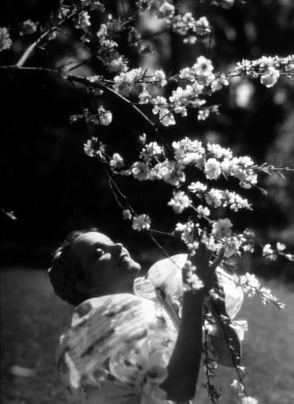 恋の凱歌の画像