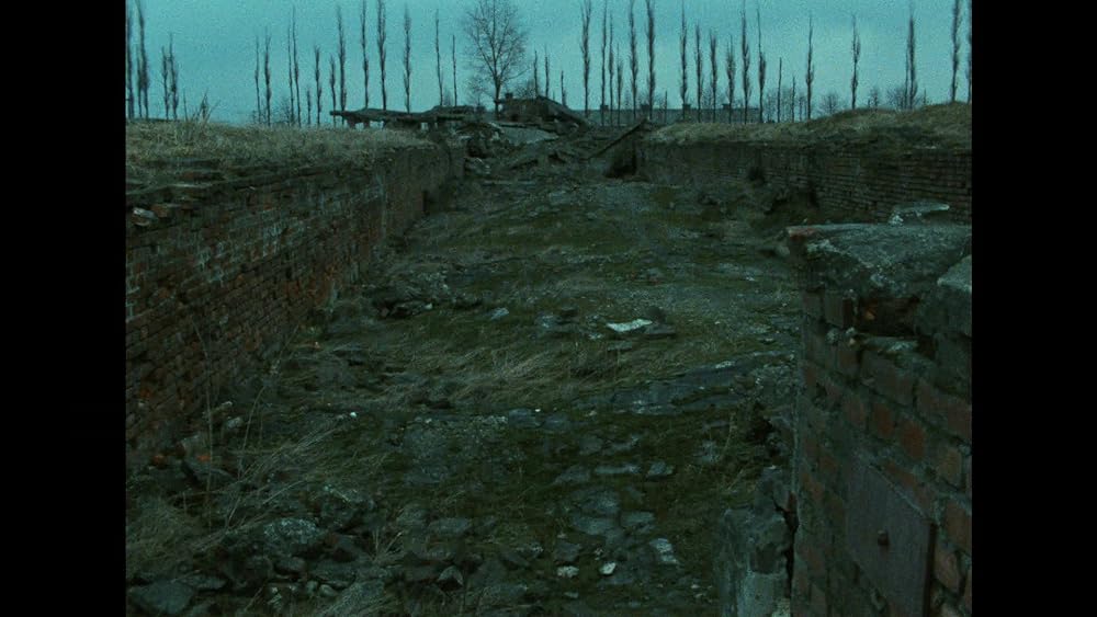 SHOAH ショアの画像